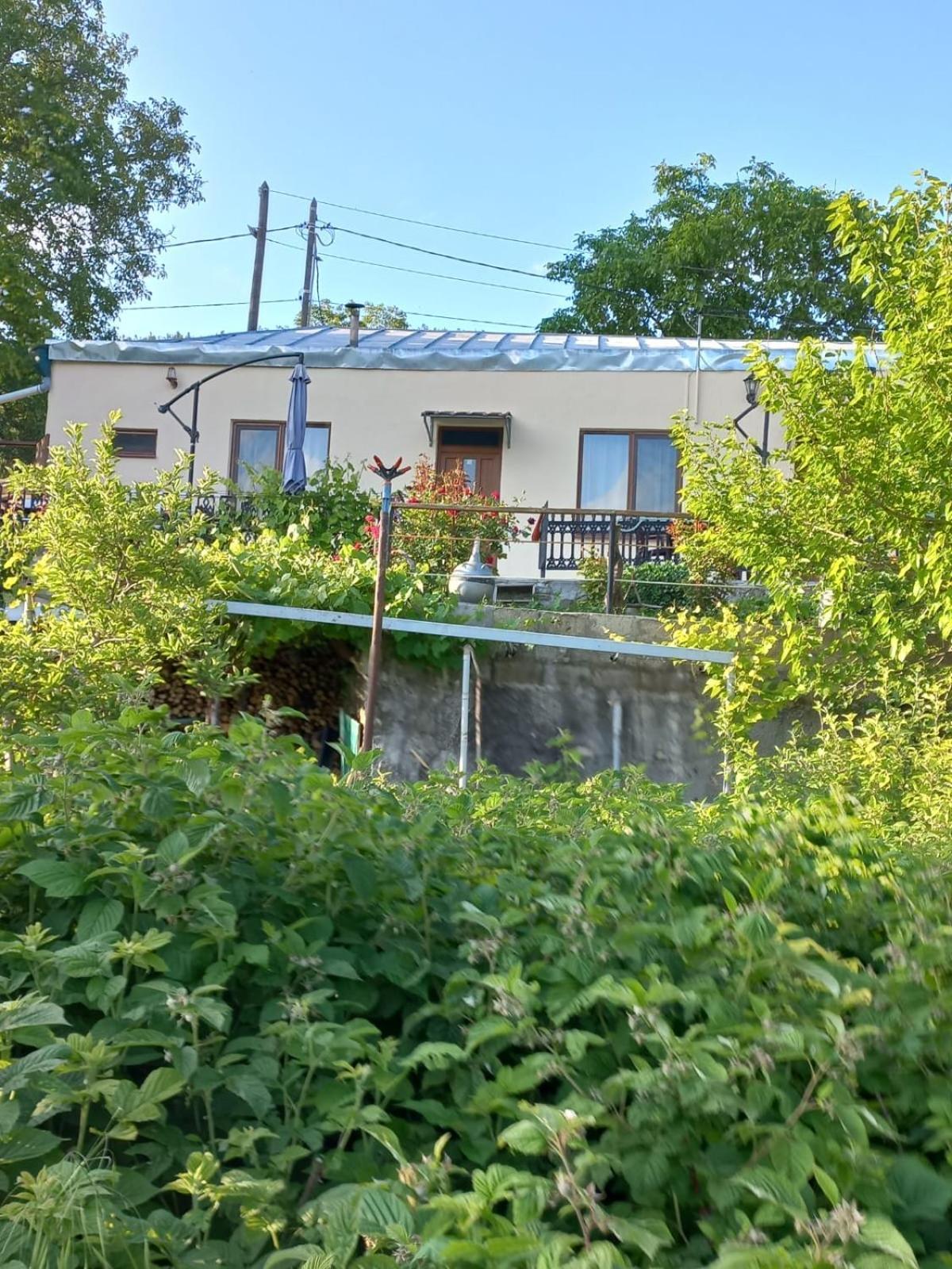 Ana-Maria Bnb Tat'ev Exterior photo