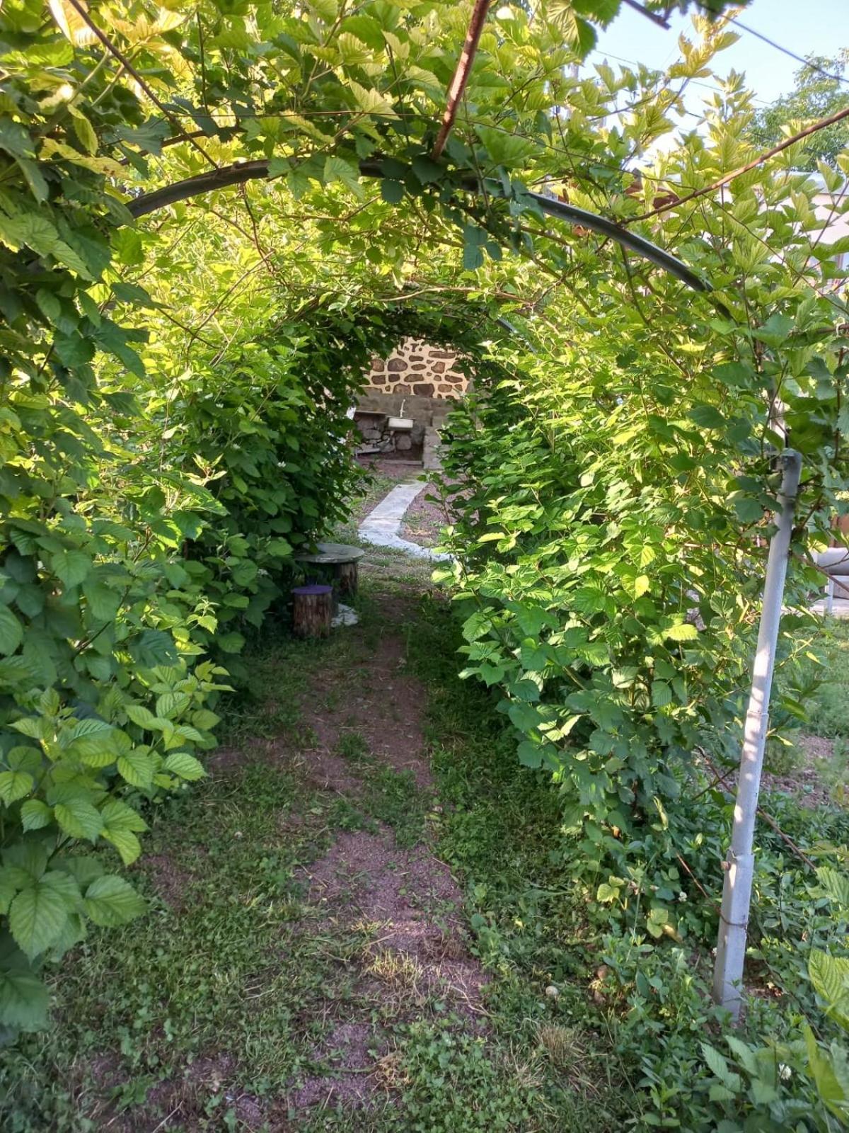 Ana-Maria Bnb Tat'ev Exterior photo