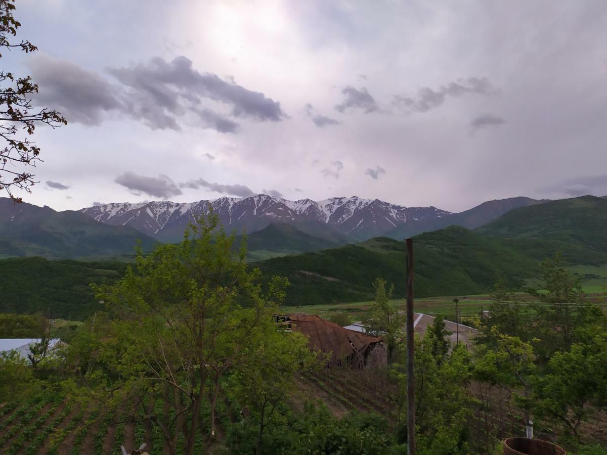 Ana-Maria Bnb Tat'ev Exterior photo